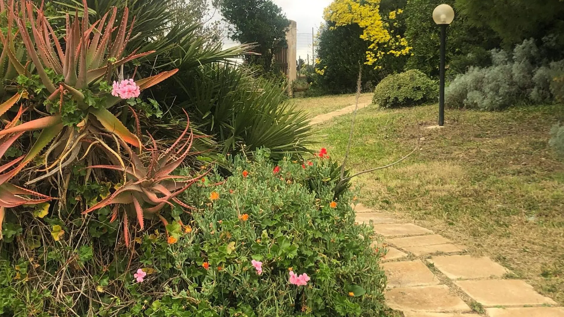 Il Giardino Di Elettra Lejlighed Palmadula Italien